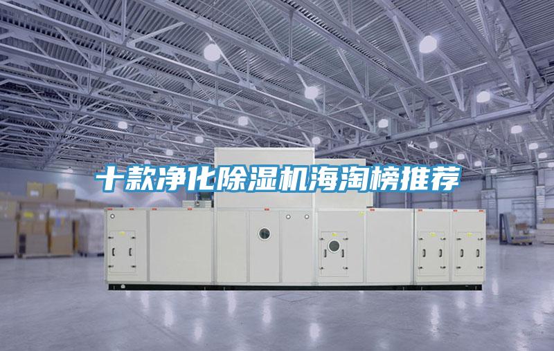 十款凈化除濕機(jī)海淘榜推薦