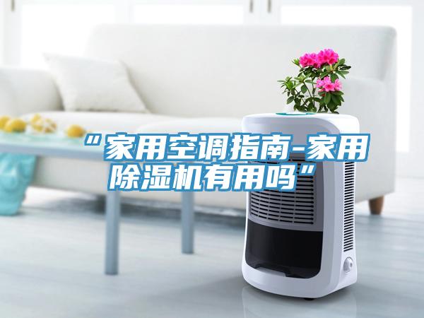 “家用空調(diào)指南-家用除濕機(jī)有用嗎”