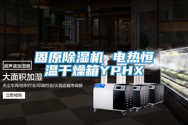 固原除濕機 電熱恒溫干燥箱YPHX