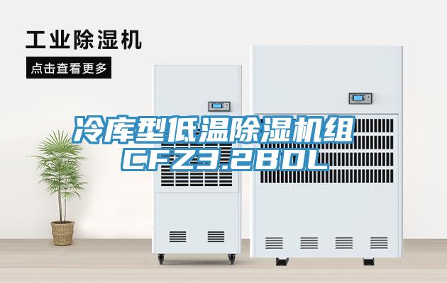 冷庫型低溫除濕機(jī)組 CFZ3.2BDL