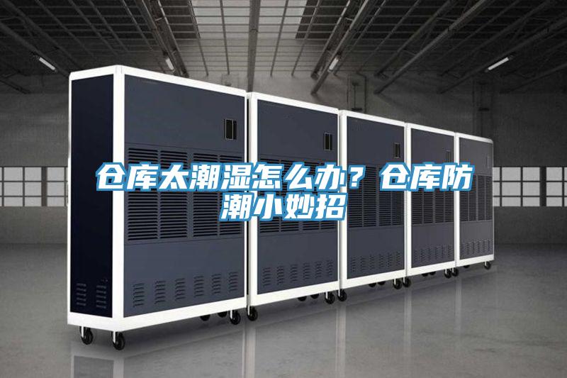 倉庫太潮濕怎么辦？倉庫防潮小妙招