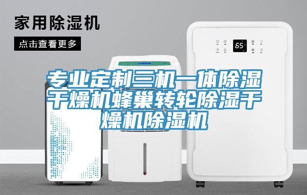 專業(yè)定制三機一體除濕干燥機蜂巢轉輪除濕干燥機除濕機