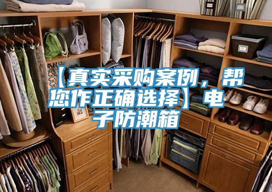 【真實采購案例，幫您作正確選擇】電子防潮箱