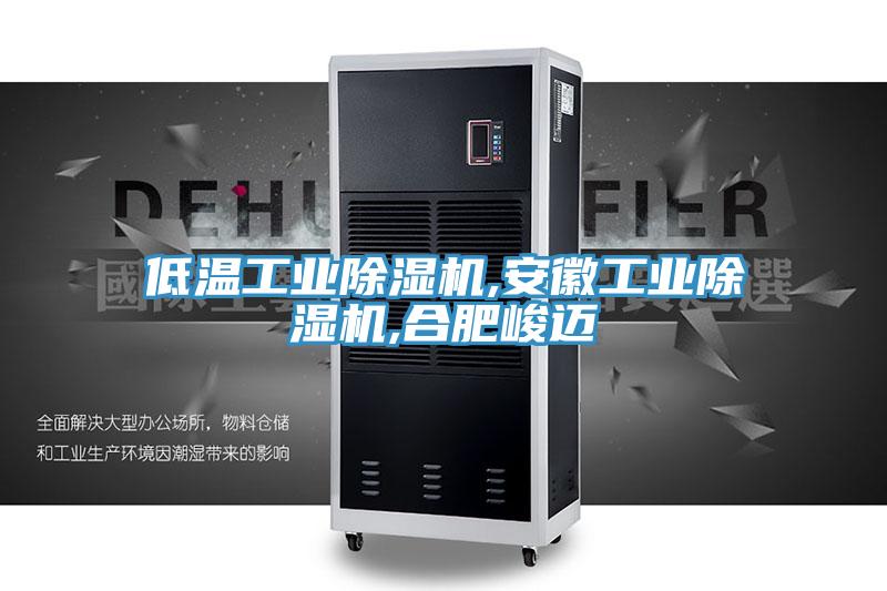 低溫工業(yè)除濕機(jī),安徽工業(yè)除濕機(jī),合肥峻邁
