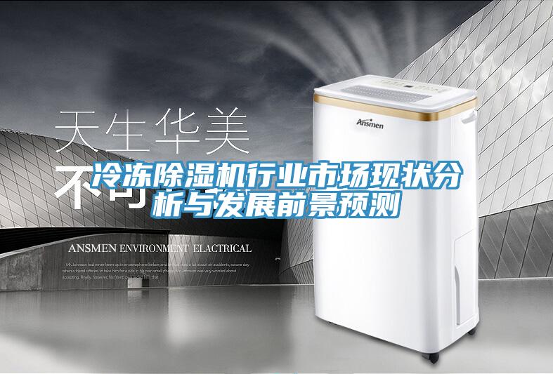 冷凍除濕機行業(yè)市場現(xiàn)狀分析與發(fā)展前景預(yù)測