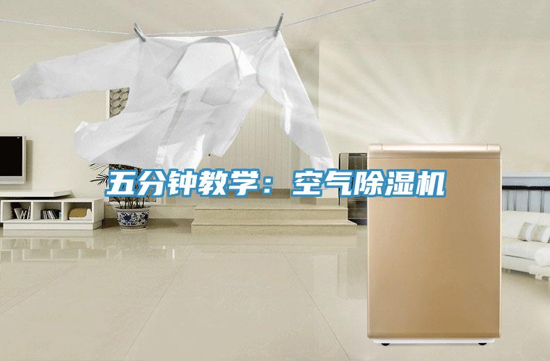 五分鐘教學(xué)：空氣除濕機(jī)
