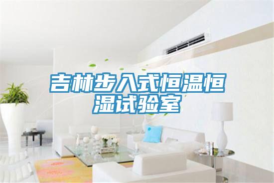 吉林步入式恒溫恒濕試驗室