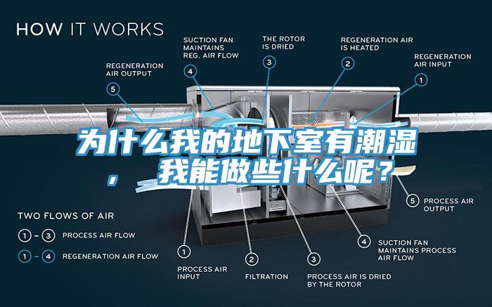 為什么我的地下室有潮濕， 我能做些什么呢？