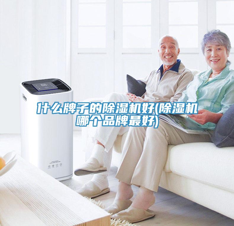 什么牌子的除濕機好(除濕機哪個品牌最好)