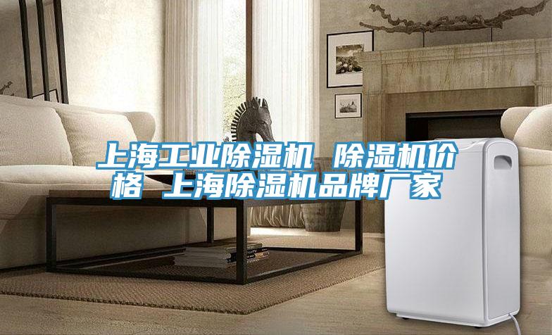 上海工業(yè)除濕機(jī) 除濕機(jī)價(jià)格 上海除濕機(jī)品牌廠家