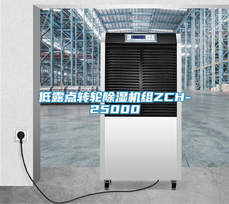 低露點轉輪除濕機組ZCH-25000