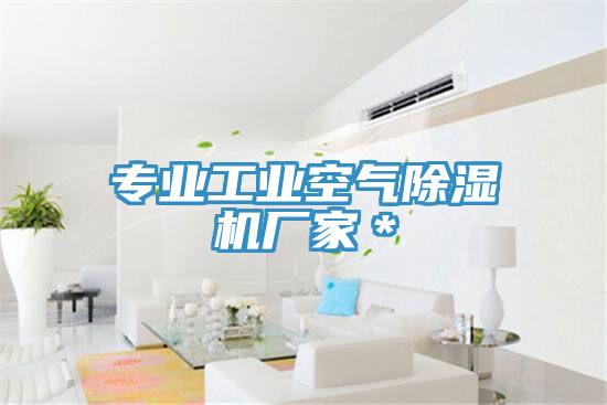 專業(yè)工業(yè)空氣除濕機廠家＊