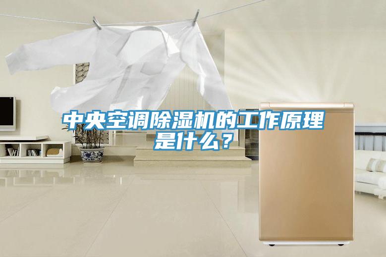 中央空調(diào)除濕機的工作原理是什么？