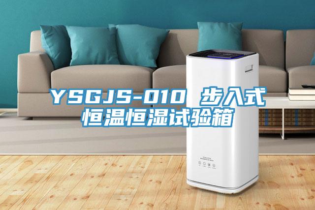 YSGJS-010 步入式恒溫恒濕試驗箱