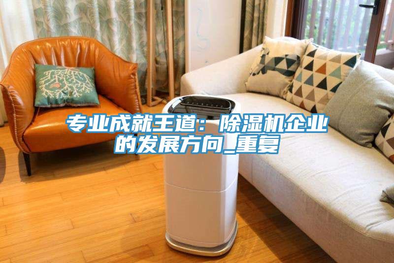 專業(yè)成就王道：除濕機企業(yè)的發(fā)展方向_重復
