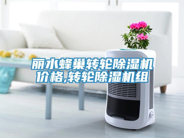 麗水蜂巢轉(zhuǎn)輪除濕機(jī)價(jià)格,轉(zhuǎn)輪除濕機(jī)組
