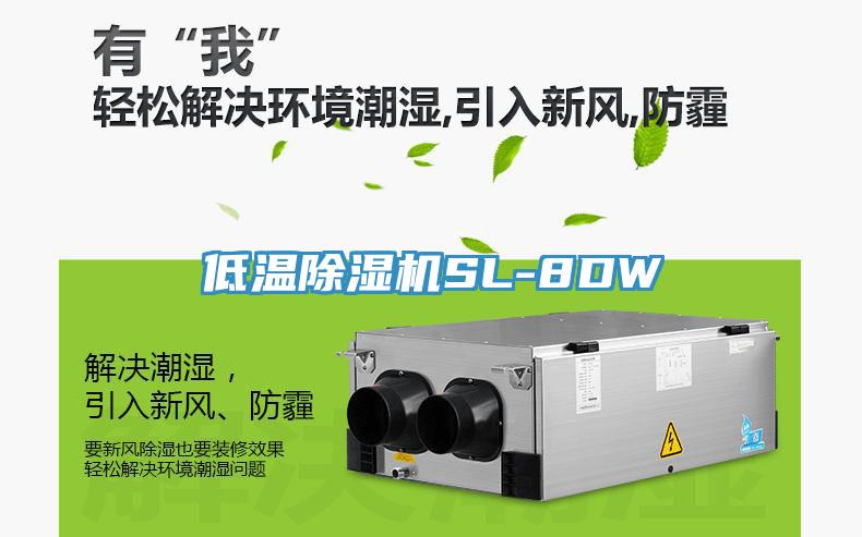 低溫除濕機(jī)SL-8DW