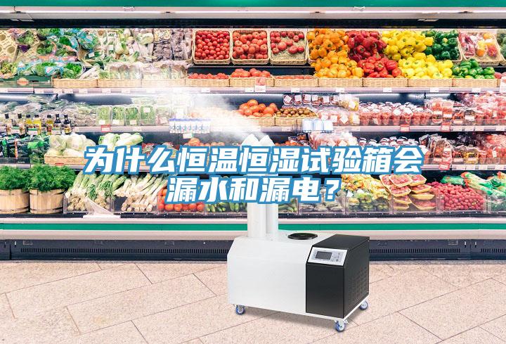 為什么恒溫恒濕試驗(yàn)箱會(huì)漏水和漏電？