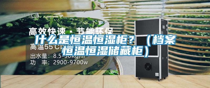 什么是恒溫恒濕柜？（檔案恒溫恒濕儲(chǔ)藏柜）