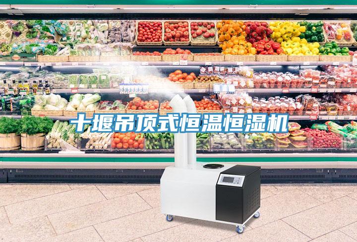 十堰吊頂式恒溫恒濕機(jī)