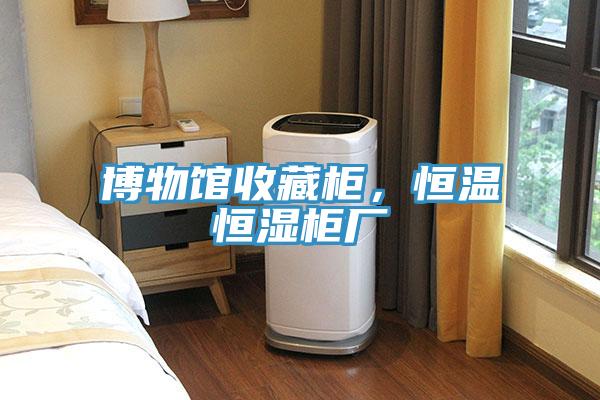博物館收藏柜，恒溫恒濕柜廠