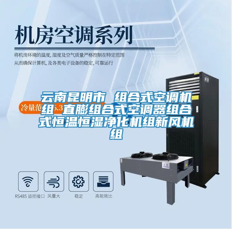 云南昆明市 組合式空調(diào)機組 直膨組合式空調(diào)器組合式恒溫恒濕凈化機組新風機組