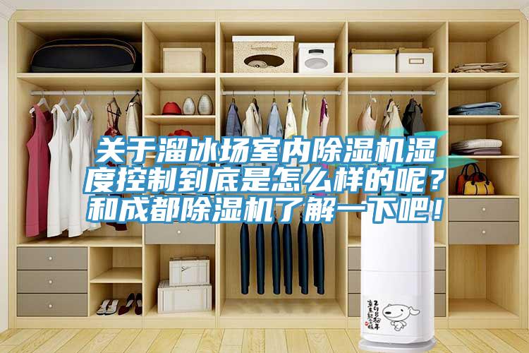 關(guān)于溜冰場室內(nèi)除濕機(jī)濕度控制到底是怎么樣的呢？和成都除濕機(jī)了解一下吧！