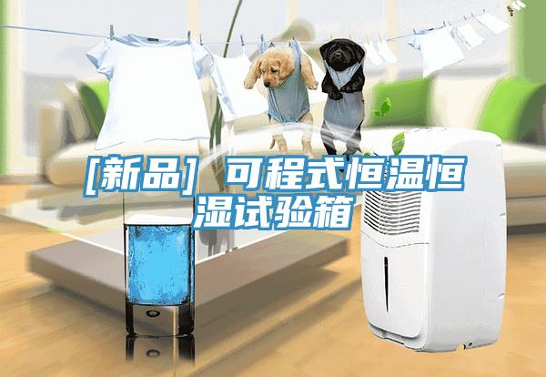 [新品] 可程式恒溫恒濕試驗箱