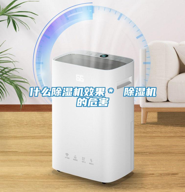 什么除濕機(jī)效果＊ 除濕機(jī)的危害