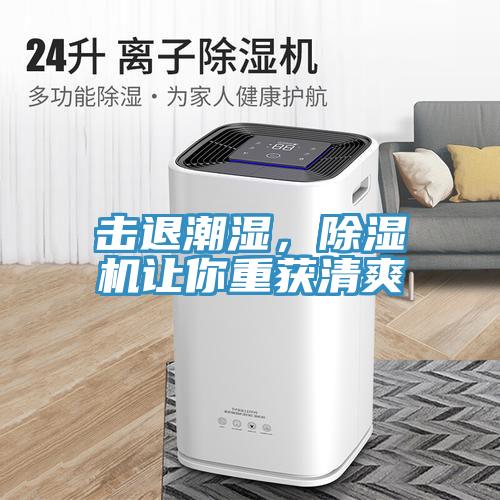 擊退潮濕，除濕機(jī)讓你重獲清爽