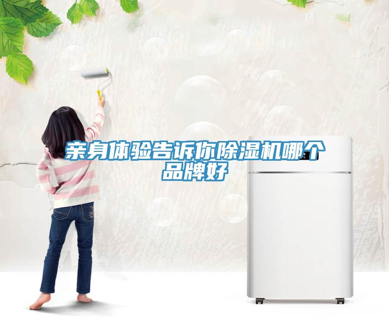 親身體驗告訴你除濕機哪個品牌好