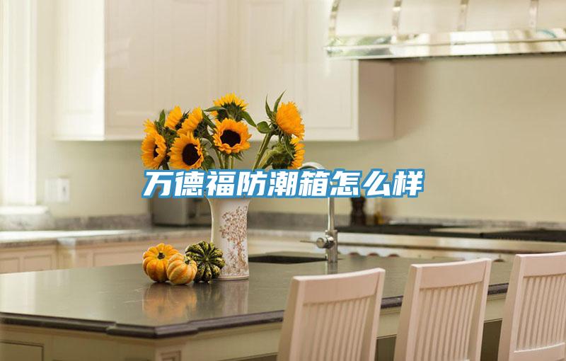 萬德福防潮箱怎么樣