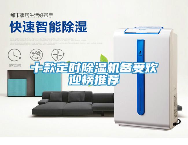 十款定時(shí)除濕機(jī)備受歡迎榜推薦