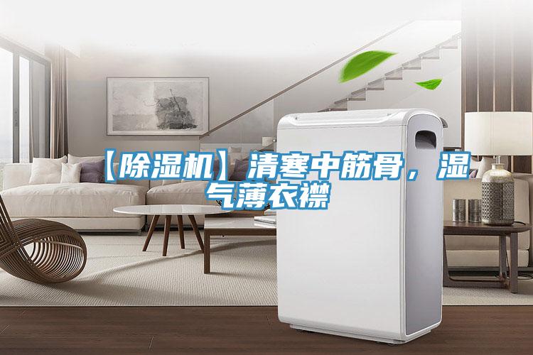 【除濕機】清寒中筋骨，濕氣薄衣襟
