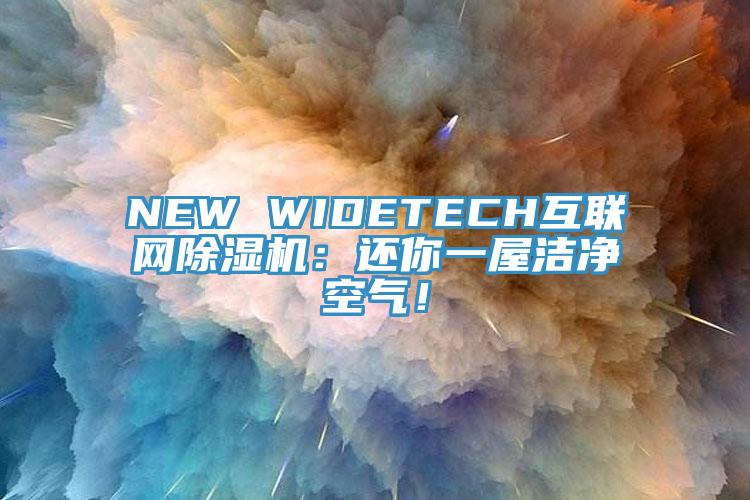 NEW WIDETECH互聯(lián)網(wǎng)除濕機(jī)：還你一屋潔凈空氣！