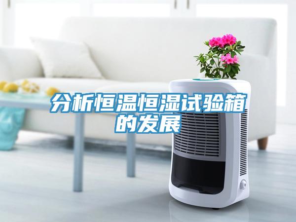 分析恒溫恒濕試驗箱的發(fā)展