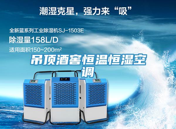 吊頂酒窖恒溫恒濕空調(diào)