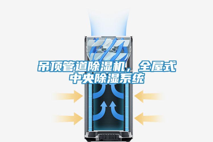吊頂管道除濕機(jī)，全屋式中央除濕系統(tǒng)