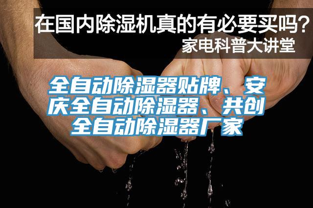 全自動(dòng)除濕器貼牌、安慶全自動(dòng)除濕器、共創(chuàng)全自動(dòng)除濕器廠家