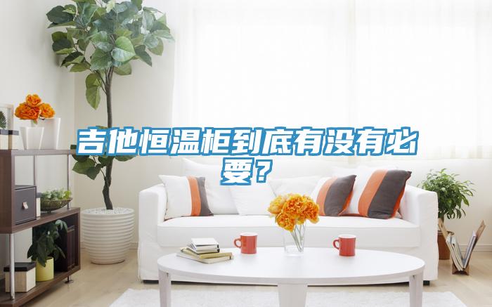 吉他恒溫柜到底有沒有必要？