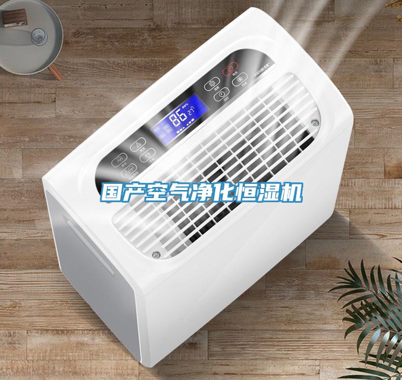 國產空氣凈化恒濕機
