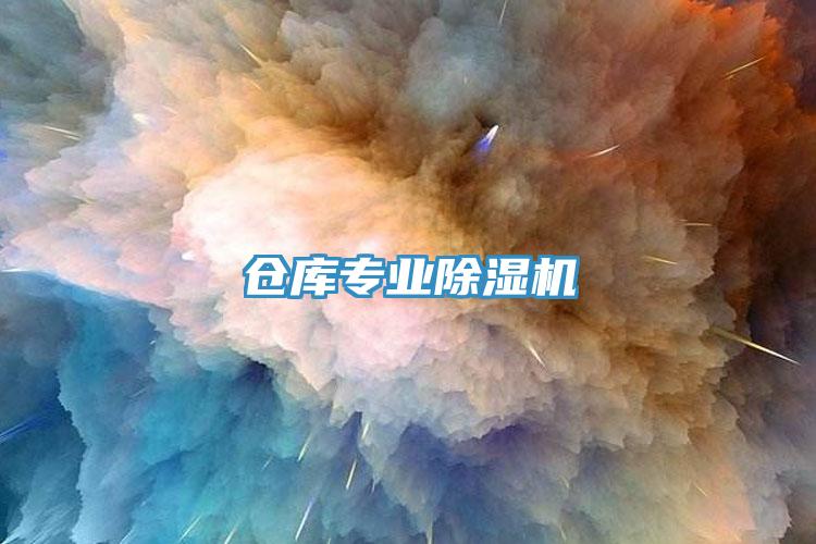 倉(cāng)庫(kù)專業(yè)除濕機(jī)