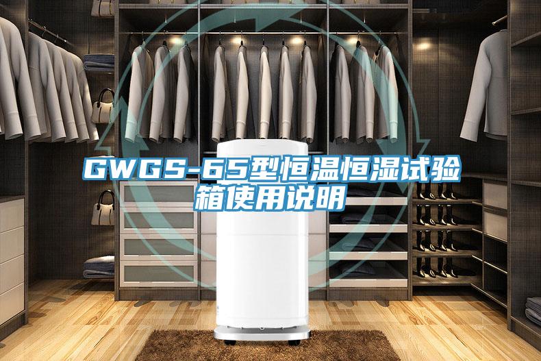 GWGS-65型恒溫恒濕試驗(yàn)箱使用說(shuō)明