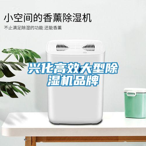 興化高效大型除濕機(jī)品牌
