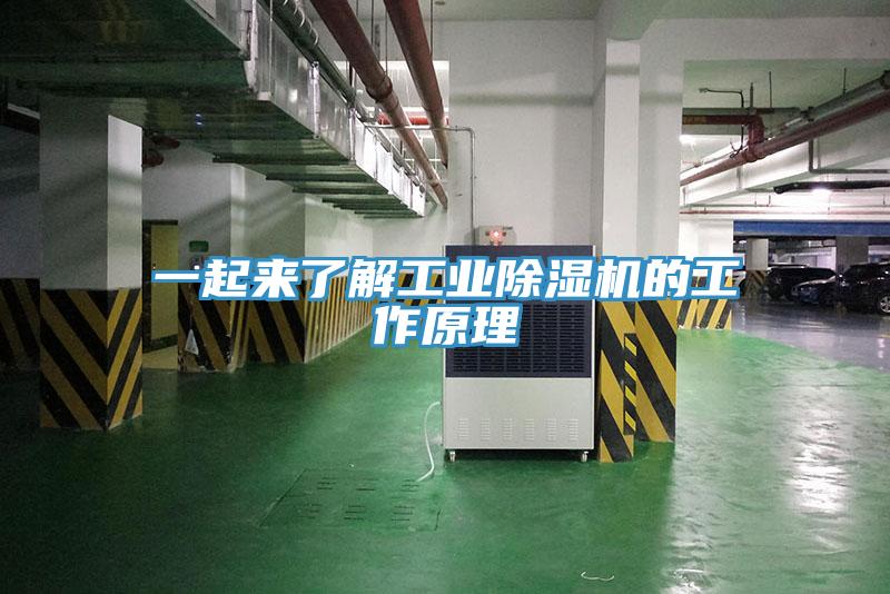 一起來了解工業(yè)除濕機(jī)的工作原理