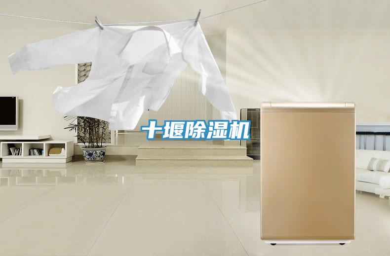 十堰除濕機(jī)