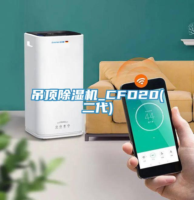 吊頂除濕機(jī)_CFD20(二代)