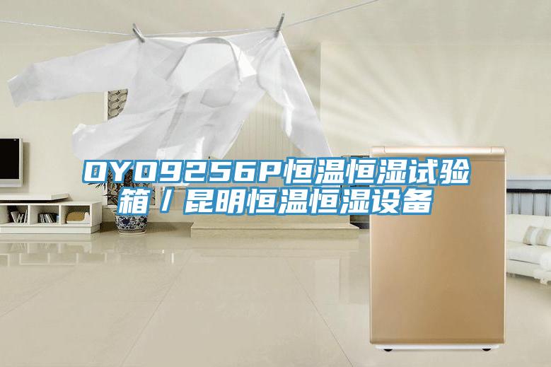 OYO9256P恒溫恒濕試驗(yàn)箱／昆明恒溫恒濕設(shè)備