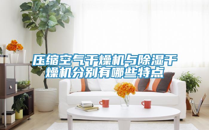 壓縮空氣干燥機(jī)與除濕干燥機(jī)分別有哪些特點(diǎn)