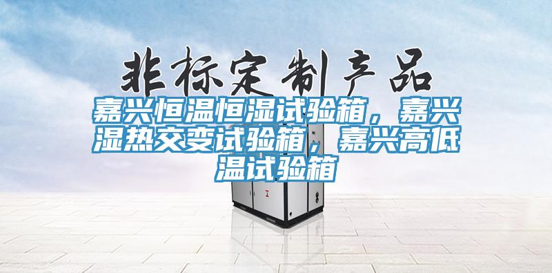 嘉興恒溫恒濕試驗(yàn)箱，嘉興濕熱交變?cè)囼?yàn)箱，嘉興高低溫試驗(yàn)箱